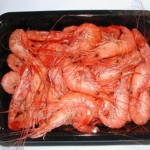 Frozen Cooked Shrimp