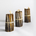 Razor clams