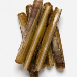 razor clam-003